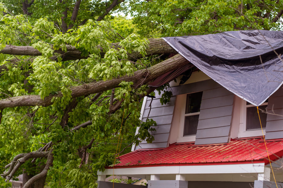 storm-damage-repair-spring-tx-blue-truss