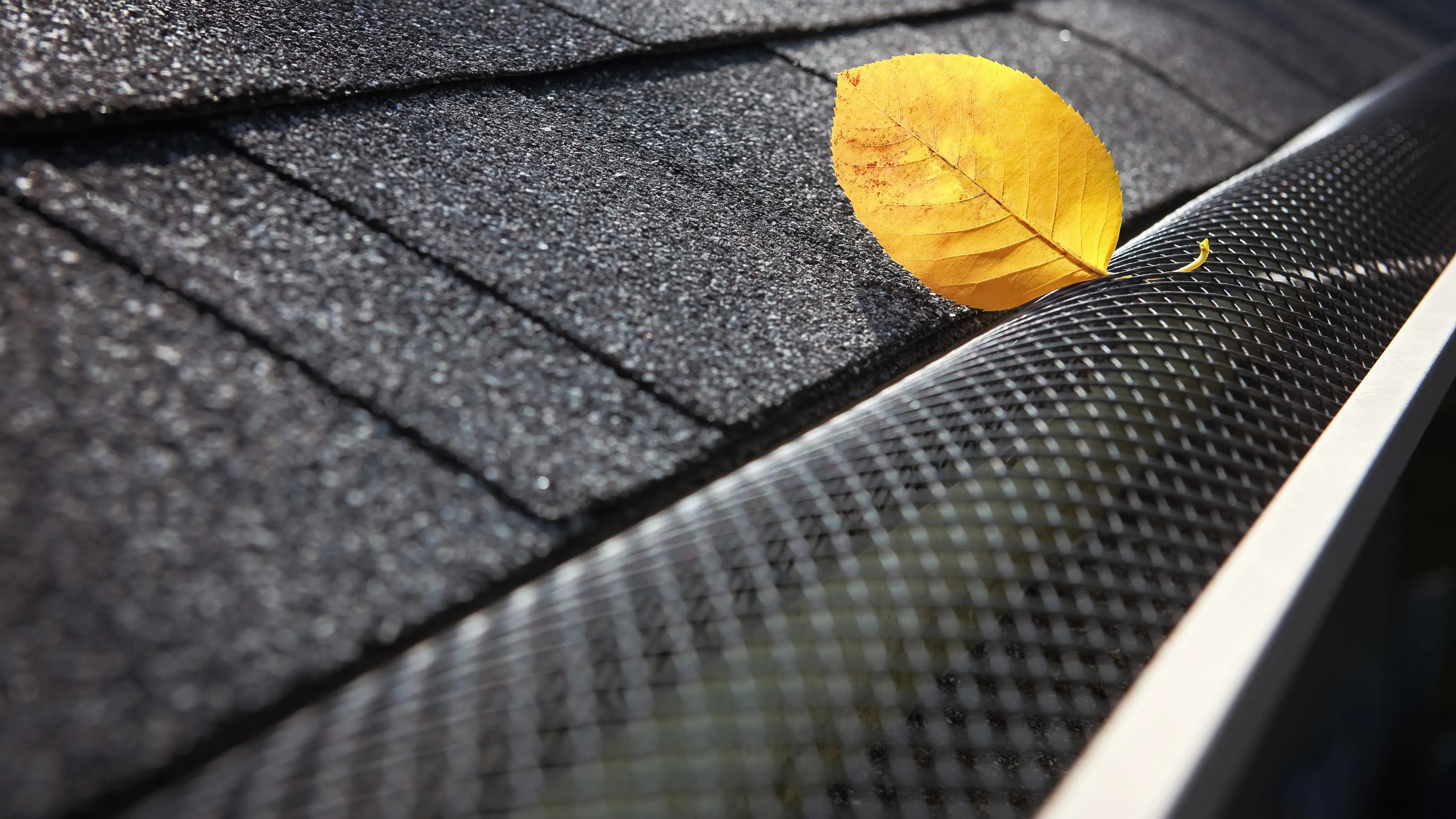 Seamless gutters with a black leaf guard 